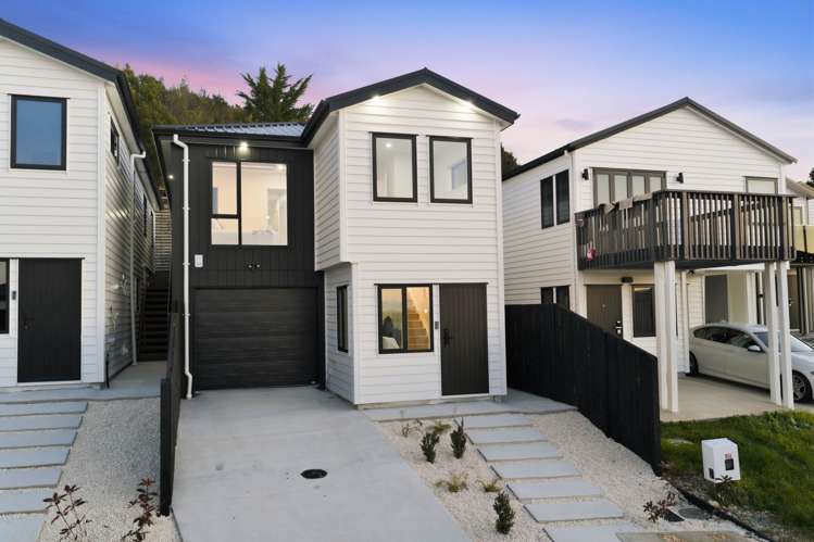 1 Puhakehake Place Flat Bush_0