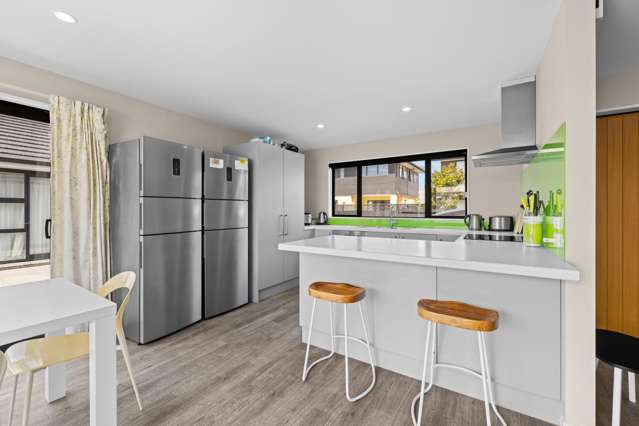 31 Euston Street Riccarton_2