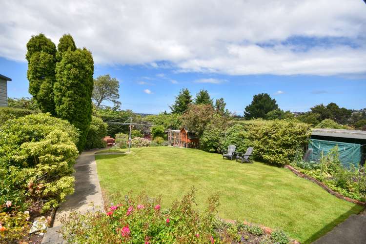 192 Pine Hill Road Dalmore_6