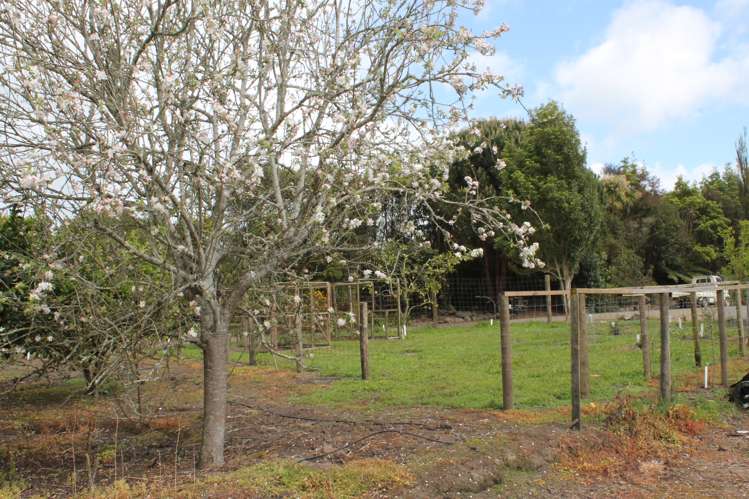 1291 State Highway 1 Hikurangi_20