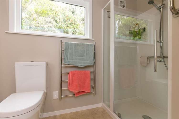 4 Hoggard Street Vogeltown_12