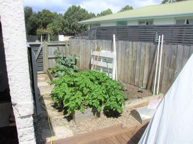 54 Ayr Street Mosgiel_17