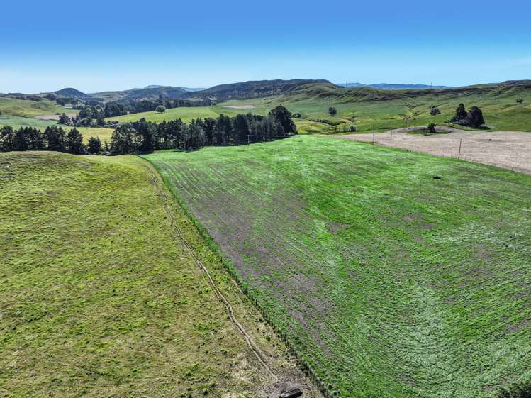 4551 Wairoa Road Tutira_7