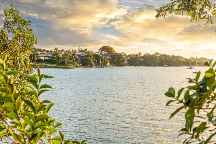 320 Jervois Road Herne Bay_8