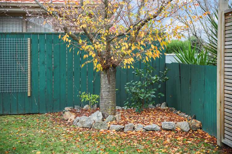 63d Howick Road Redwoodtown_21