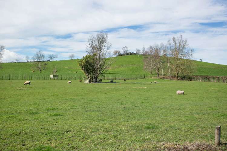 464 Ouruwhero Road Otorohanga_23