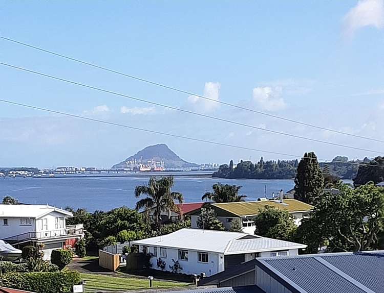 361A Maungatapu Road_0