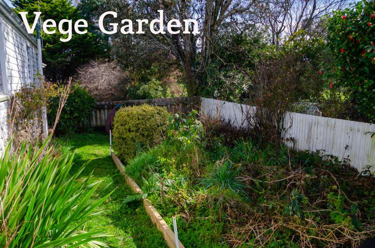 84179 State Highway 2 Eketahuna_23