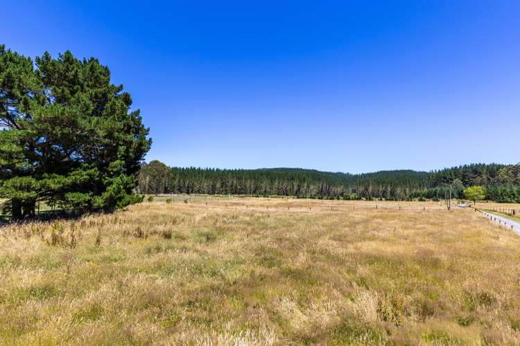 6357 State Highway 1 Kinleith_30