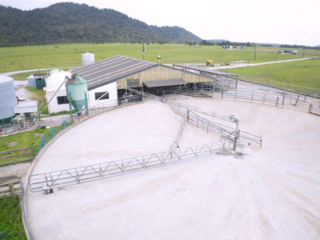 598 Waiho Flat Road Franz Josef_3