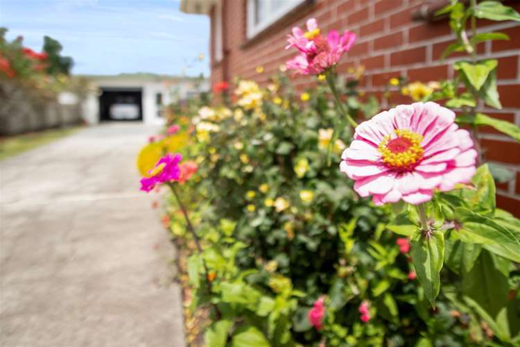 141 Tirau Street Putaruru_17