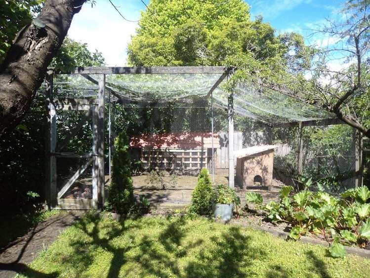 117 Cole Street Masterton_11