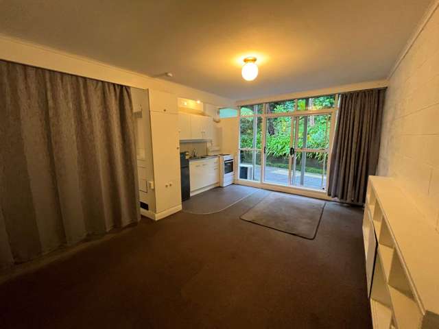 8/7 Claybrook Road Parnell_4