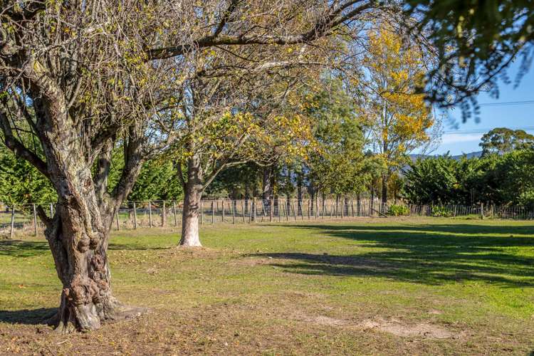 59 No 1 Line Tauwharenikau_21