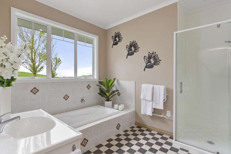 1129 Te Miro Road Te Miro_20