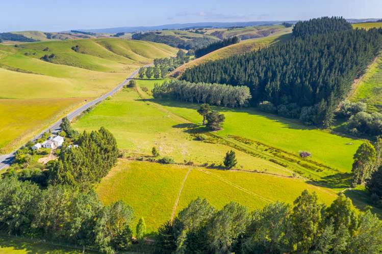 835 Lawrence Waitahuna Highway Waitahuna_5