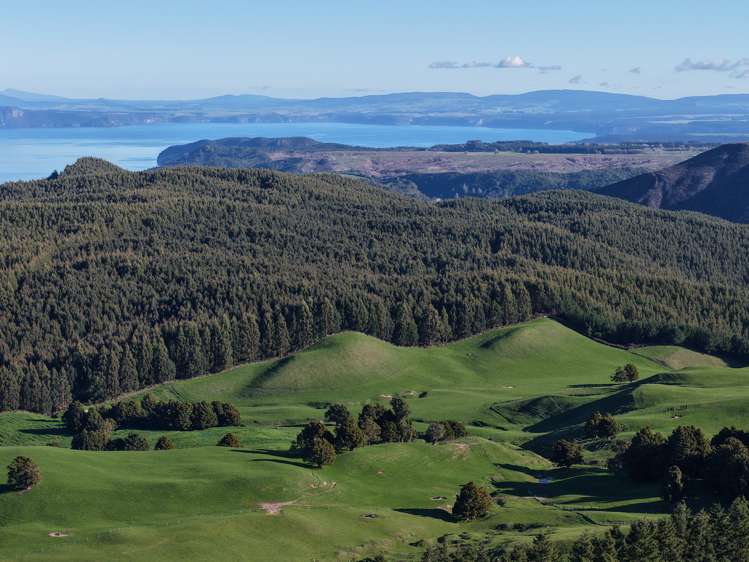 Poihipi Road Wairakei_7