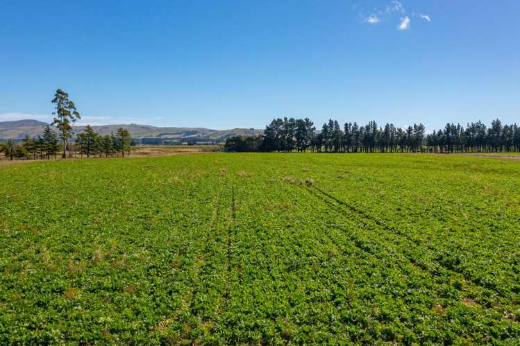 359 Hurunui Mouth Road Domett_46