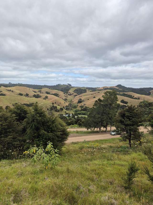 79 Awaawaroa Road Awaawaroa Bay_4