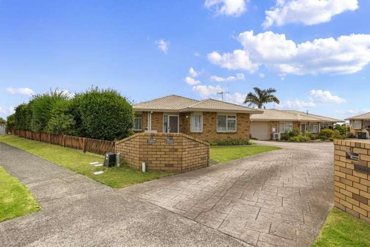 30A Boucher Avenue Te Puke_0