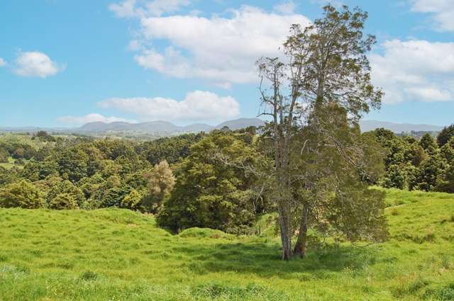 112 Tawa Avenue Kaiwaka_1