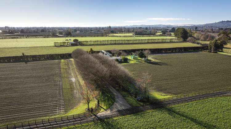 637 St Georges Road South Havelock North_29