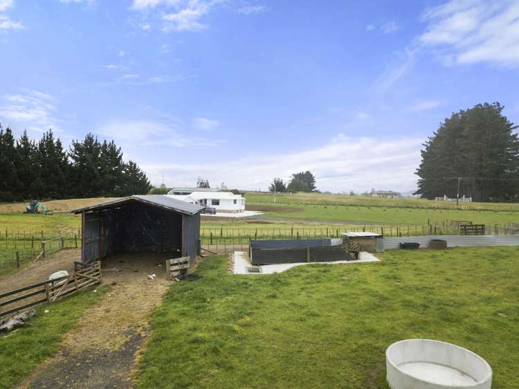 11 Bell Road Mangatawhiri_8