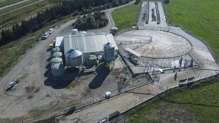 108 Klondyke Terrace Mayfield_34