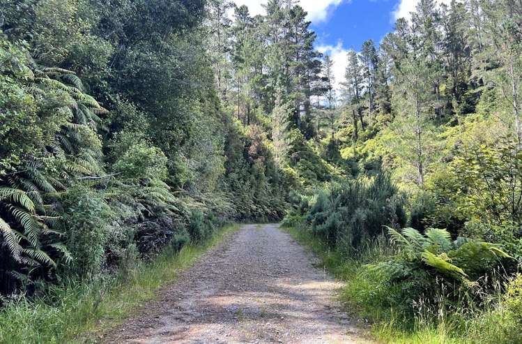Humphreys Gully Road Hokitika_7