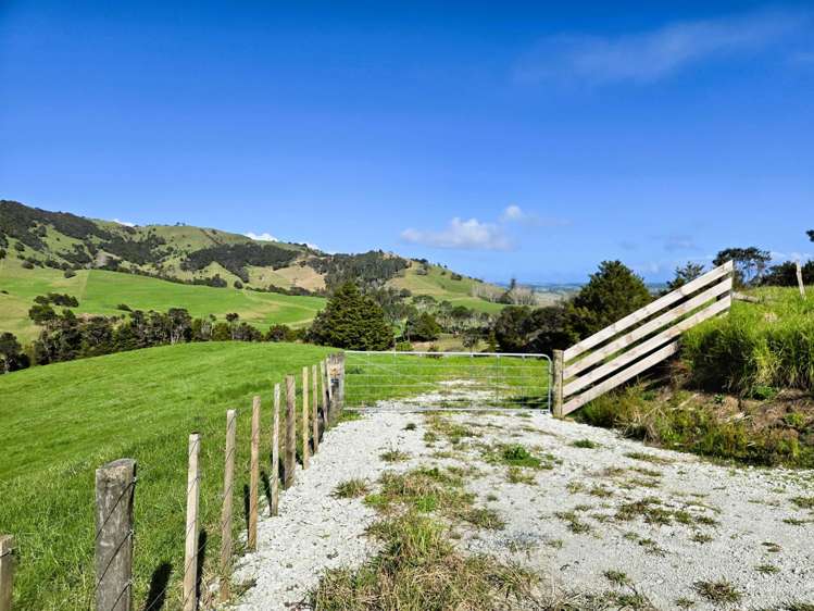 Whakahara Road Dargaville_11