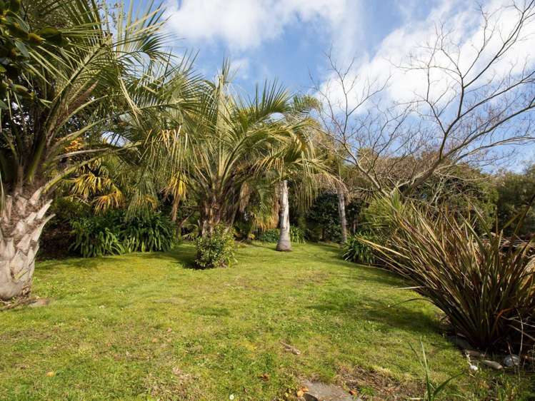 40 Brougham Street Nelson South_0