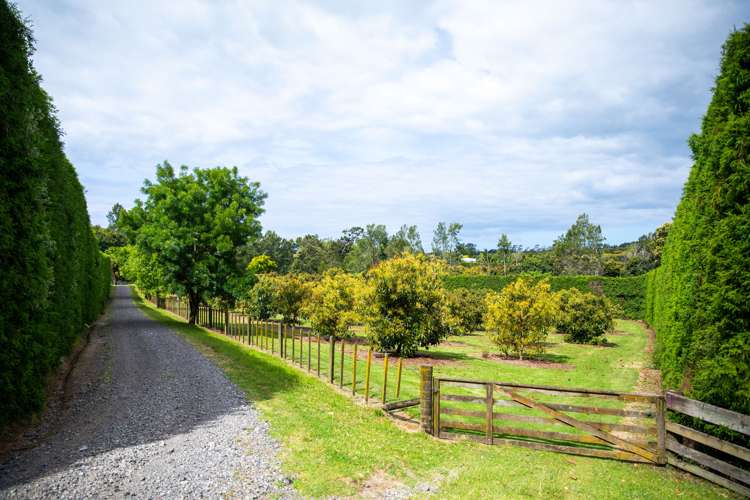 41D Waiau Road Athenree Gorge_31