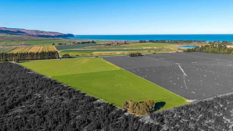 156 Webbs Road Amberley_3