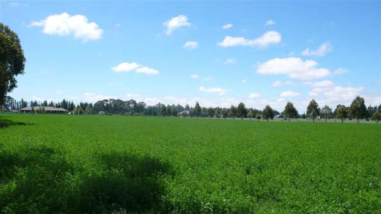 67 Swannanoa Road Fernside_5