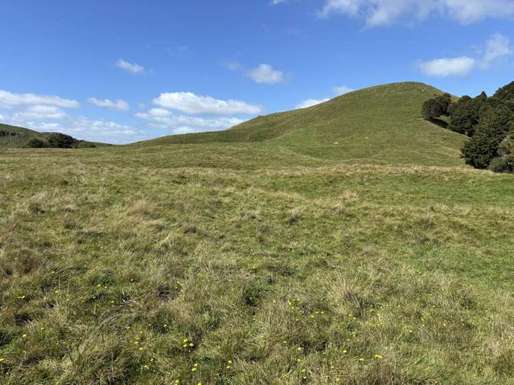 Paraketu Road Waimiha_10