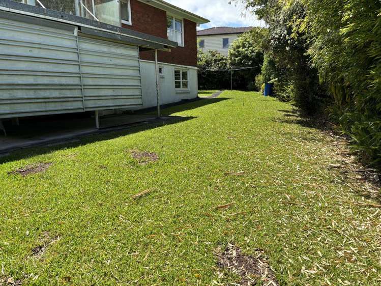 492 Hillsborough Road Mount Roskill_12