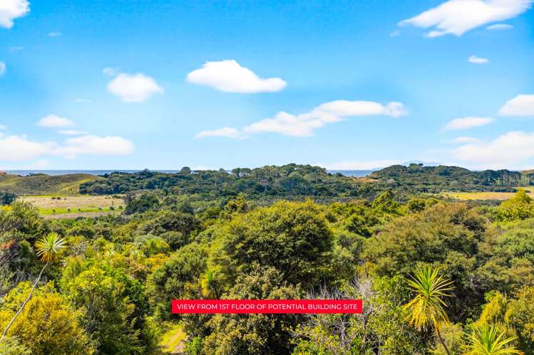 495 Rahuikiri Road Leigh_7