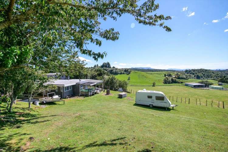 912 Whakamarama Road Whakamarama_11