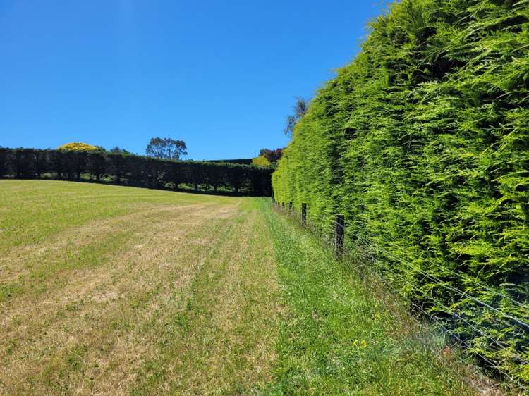 18 Jessop Street Oamaru_15