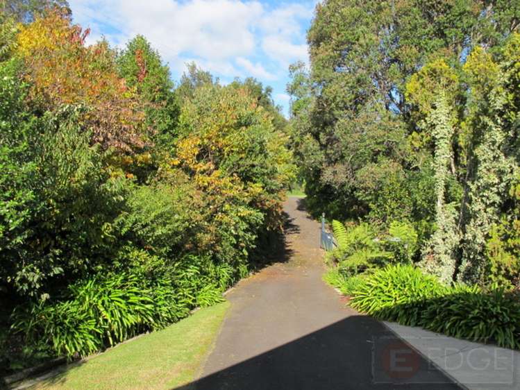 257 Ruatuna Road Opotiki and Surrounds_24