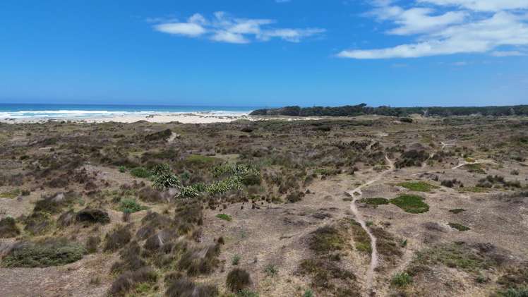 Lots 1-3 Hukatere Road Pukenui_15