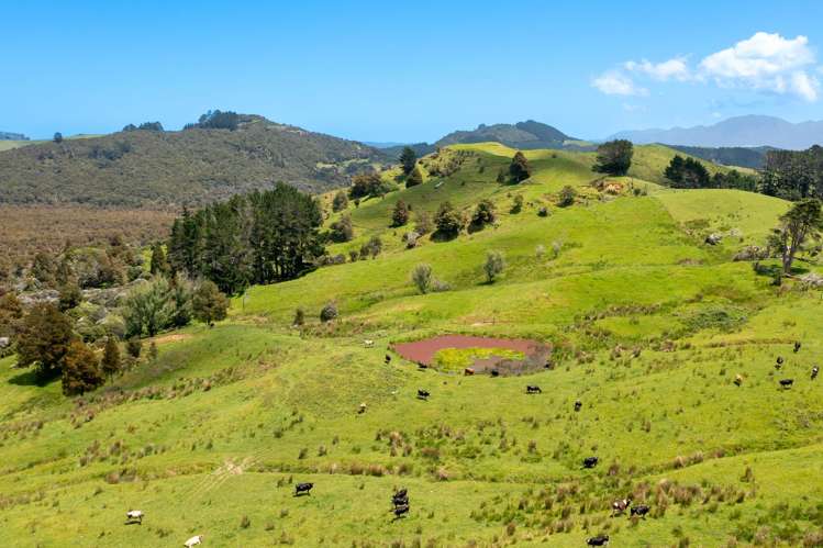 15 Karuhiruhi Road Hokianga_4