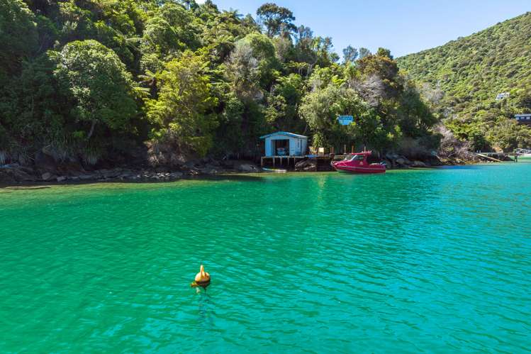 Lot 4 West Bay, Lochmara Marlborough Sounds_32