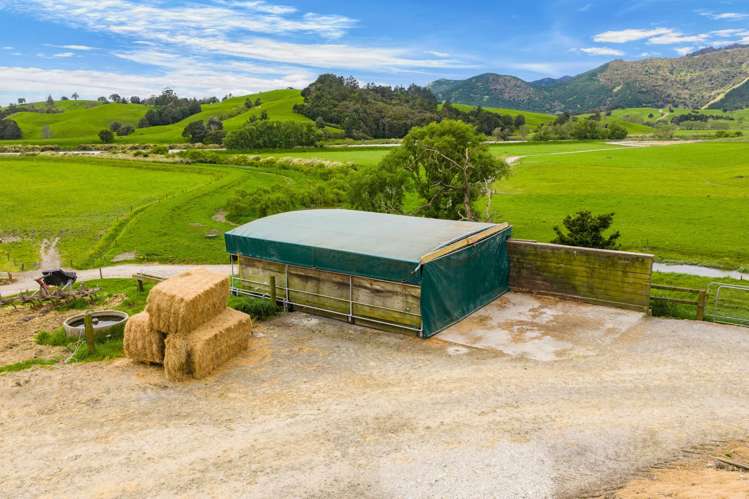 901 Pukehuia Road Tangiteroria_15