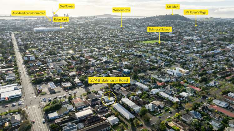 274b Balmoral Road Sandringham_27