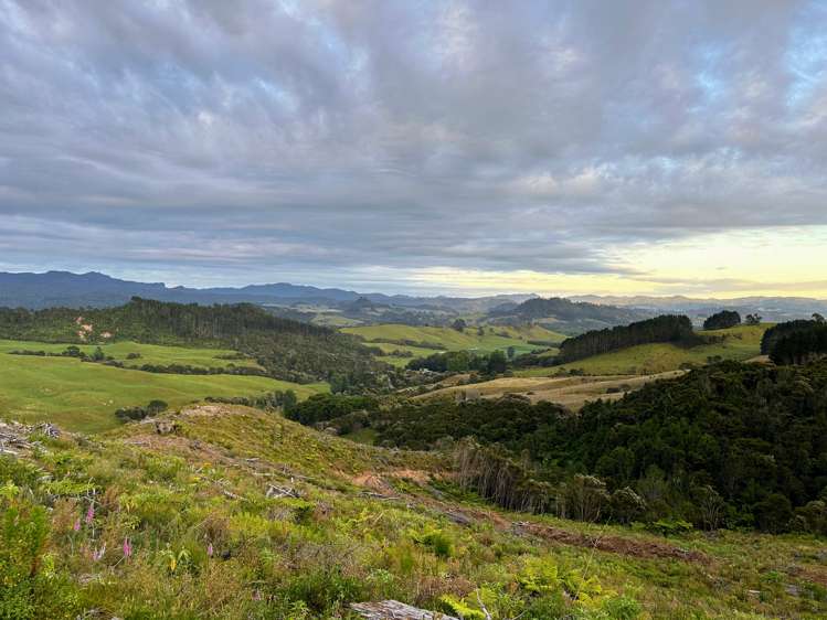 195 Kapowai Road Whenuakite_18