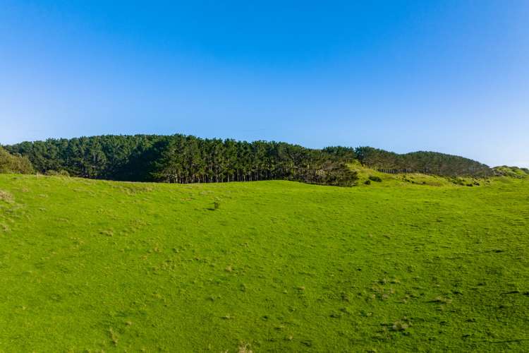 386 Rehutai Road Dargaville Surrounds_13