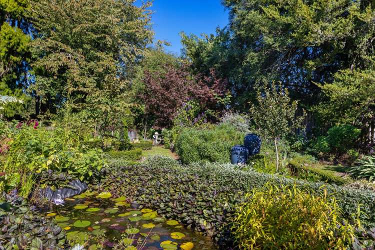 33 Bridge Street Opotiki and Surrounds_32