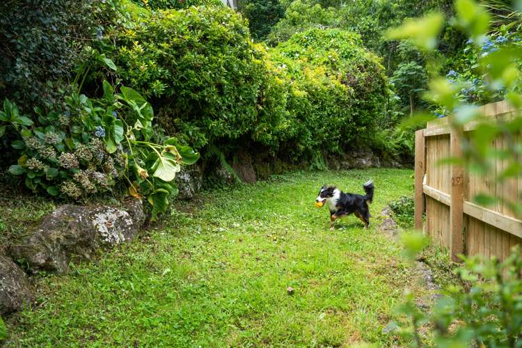 126 Western Hills Drive Kensington_19