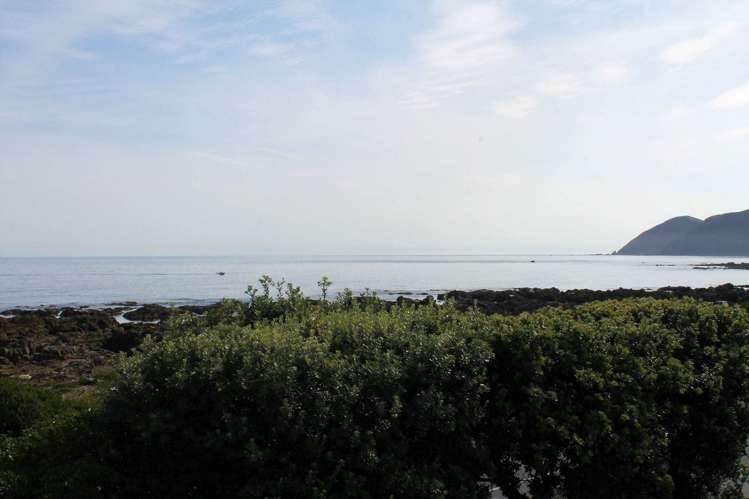 442 The Esplanade Island Bay_17